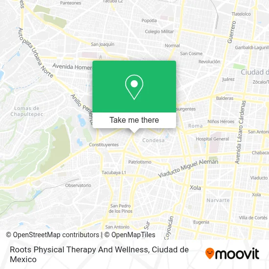 Roots Physical Therapy And Wellness map