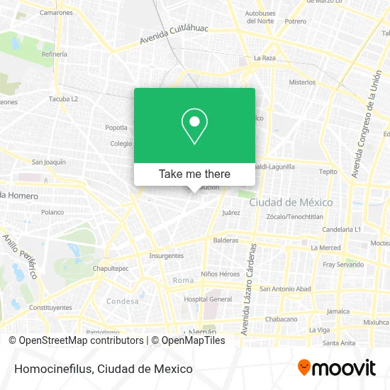 Homocinefilus map