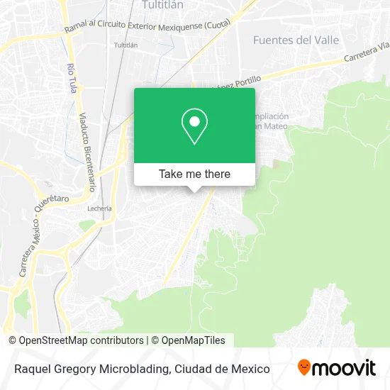 Raquel Gregory Microblading map