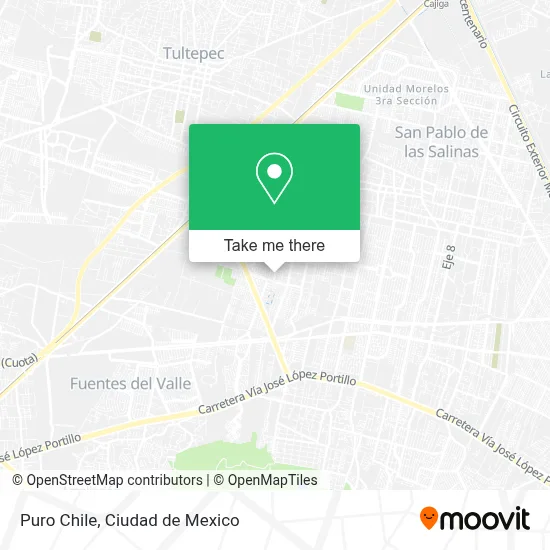 Puro Chile map