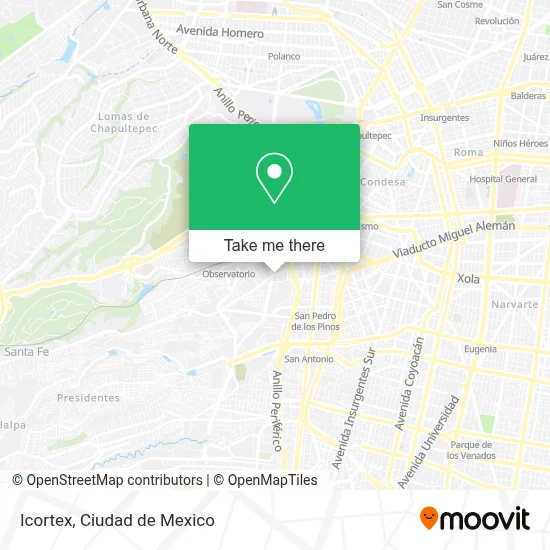 Icortex map
