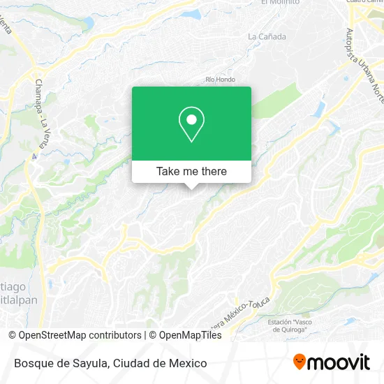 Bosque de Sayula map