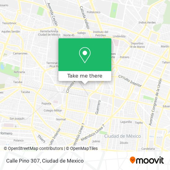 Calle Pino 307 map