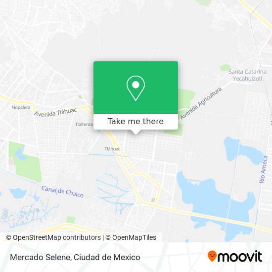 Mercado Selene map