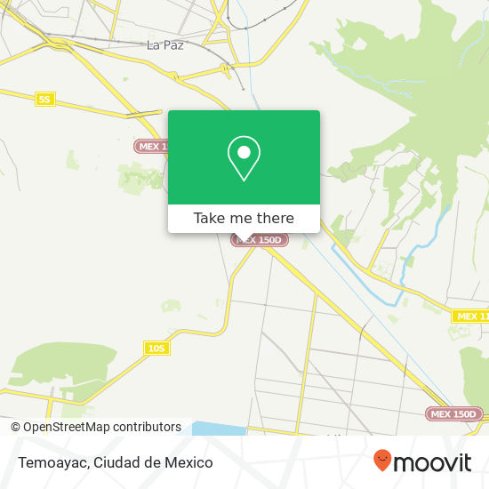 Temoayac map