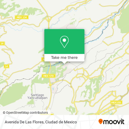 Avenida De Las Flores map