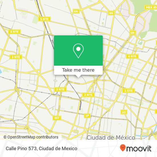 Calle Pino 573 map