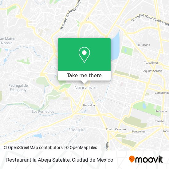 Restaurant la Abeja Satelite map