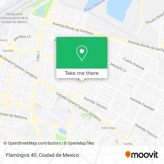 Mapa de Flamingos 40