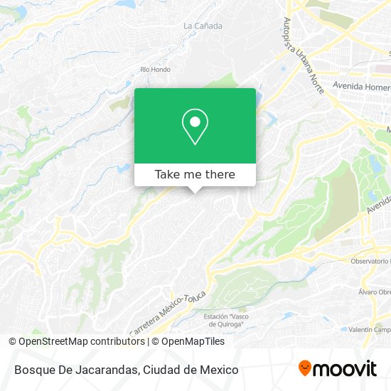 Bosque De Jacarandas map
