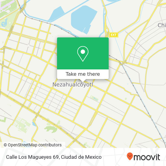 Mapa de Calle Los Magueyes 69