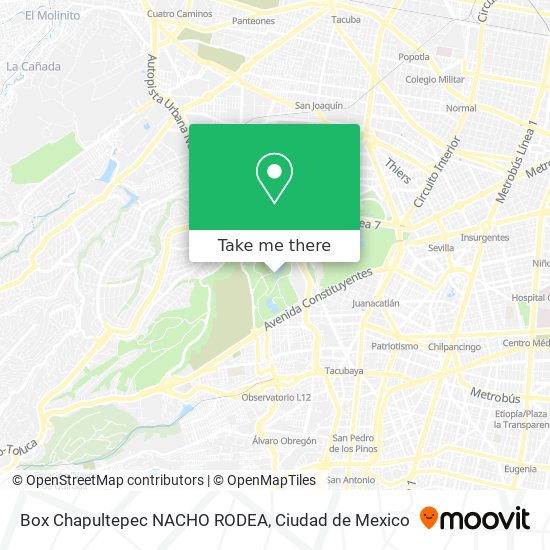 Mapa de Box Chapultepec NACHO RODEA