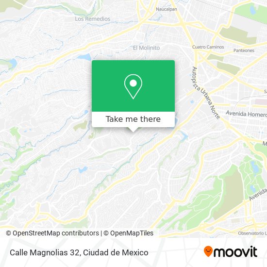 Calle Magnolias 32 map