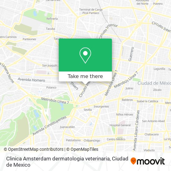 Mapa de Clinica Amsterdam dermatologia veterinaria