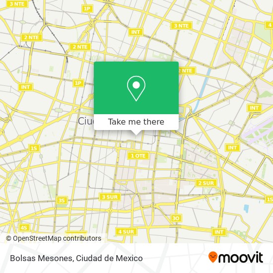 Bolsas Mesones map