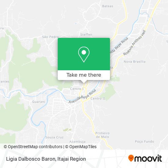 Ligia Dalbosco Baron map