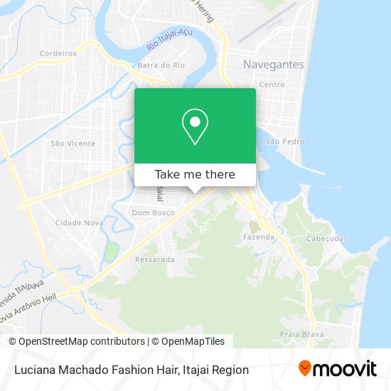 Luciana Machado Fashion Hair map