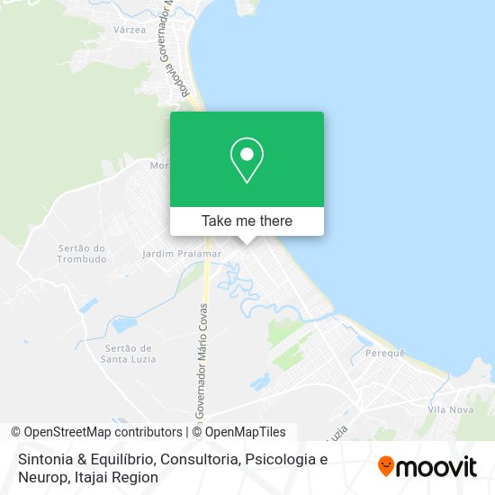 Sintonia & Equilíbrio, Consultoria, Psicologia e Neurop map