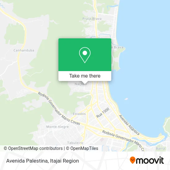 Avenida Palestina map