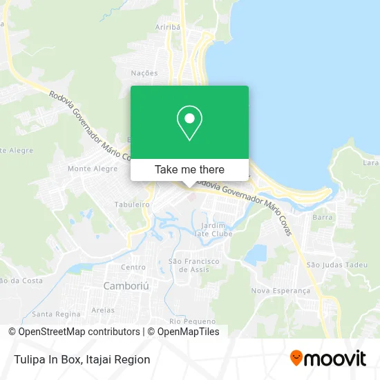 Tulipa In Box map