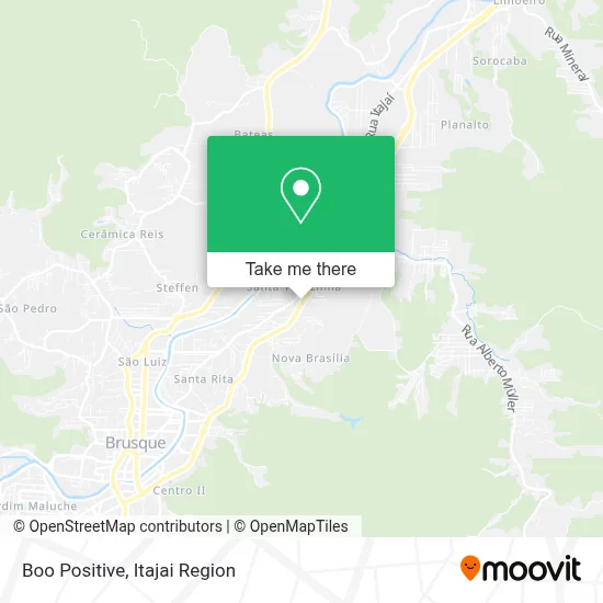 Boo Positive map