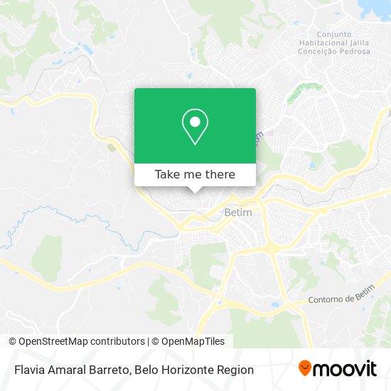 Flavia Amaral Barreto map