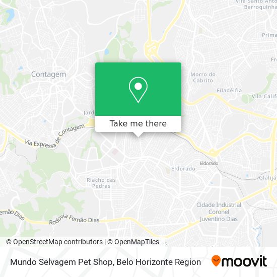 Mundo Selvagem Pet Shop map