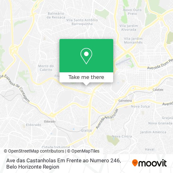 Ave das Castanholas Em Frente ao Numero 246 map