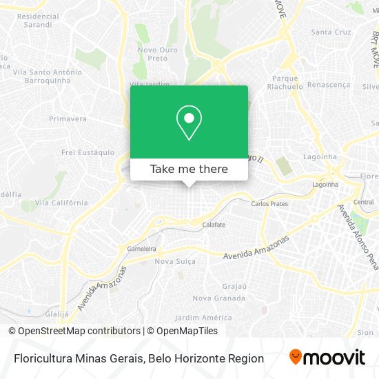 Floricultura Minas Gerais map