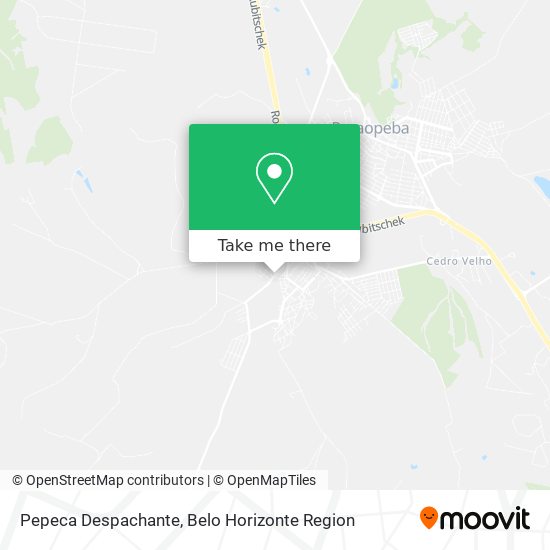 Pepeca Despachante map