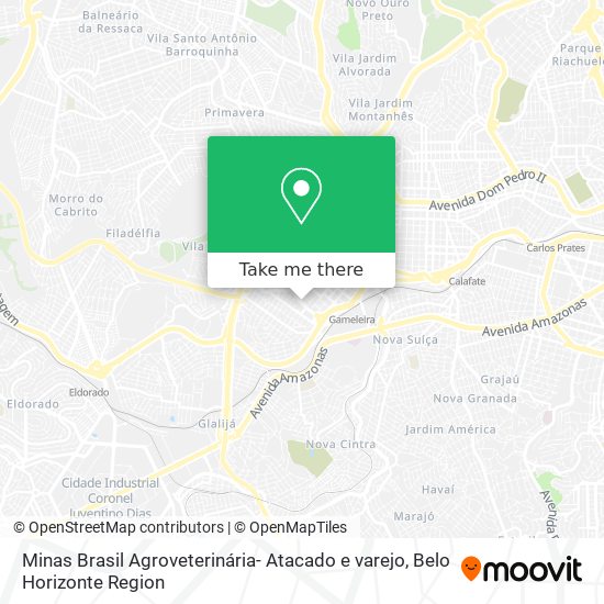 Minas Brasil Agroveterinária- Atacado e varejo map