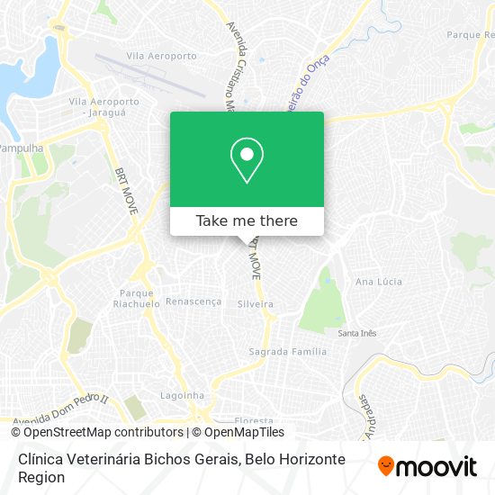 Clínica Veterinária Bichos Gerais map