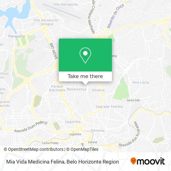 Mia Vida Medicina Felina map