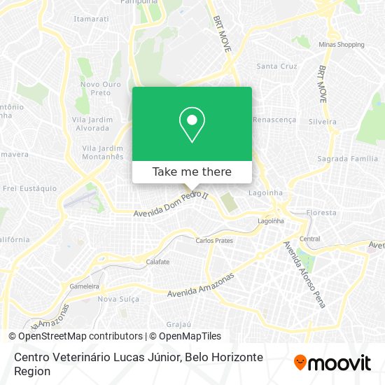 Centro Veterinário Lucas Júnior map