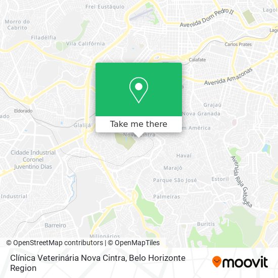 Clínica Veterinária Nova Cintra map