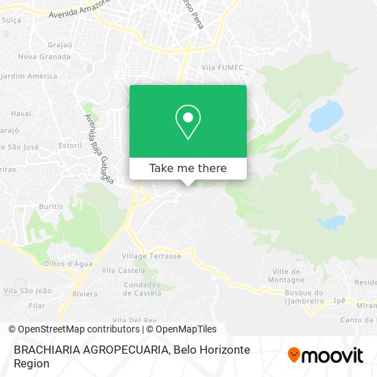 BRACHIARIA AGROPECUARIA map