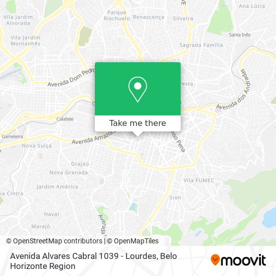Avenida Alvares Cabral 1039 - Lourdes map