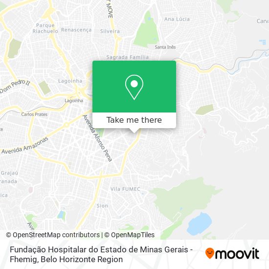 Fundação Hospitalar do Estado de Minas Gerais - Fhemig map