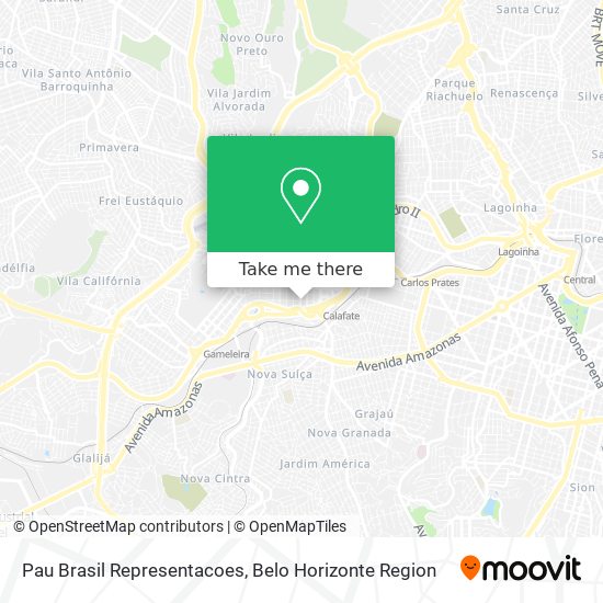 Pau Brasil Representacoes map