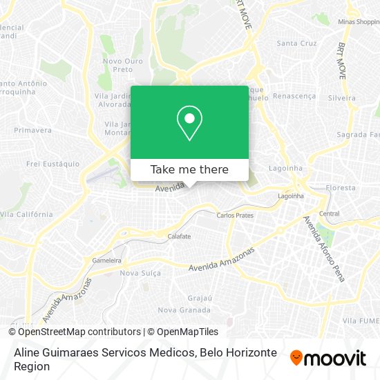 Aline Guimaraes Servicos Medicos map