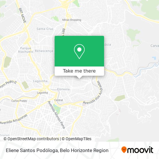 Eliene Santos Podóloga map