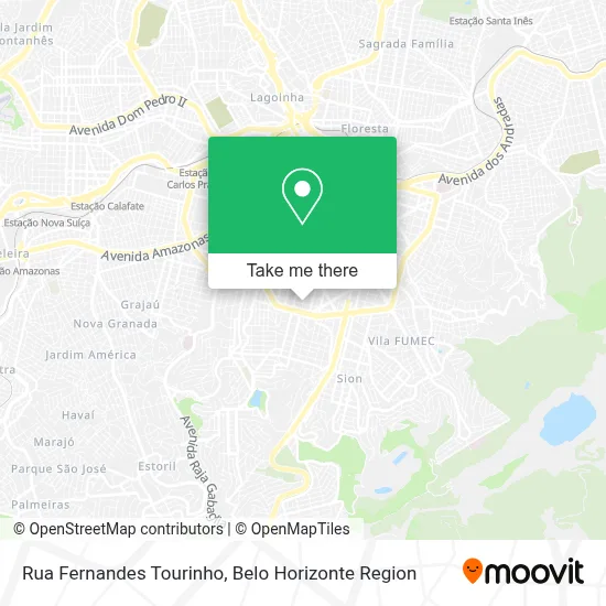 Rua Fernandes Tourinho map