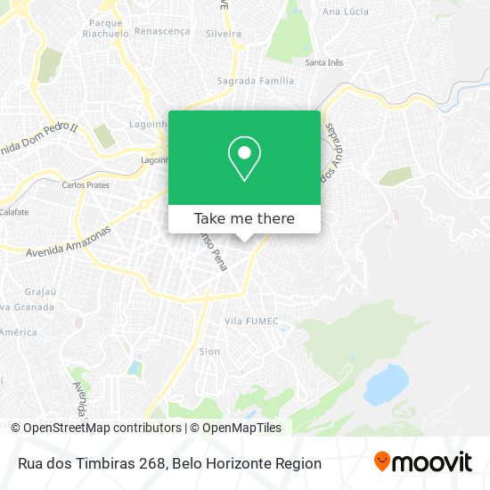 Rua dos Timbiras 268 map