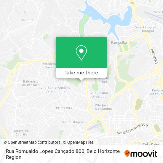 Rua Romualdo Lopes Cançado 800 map