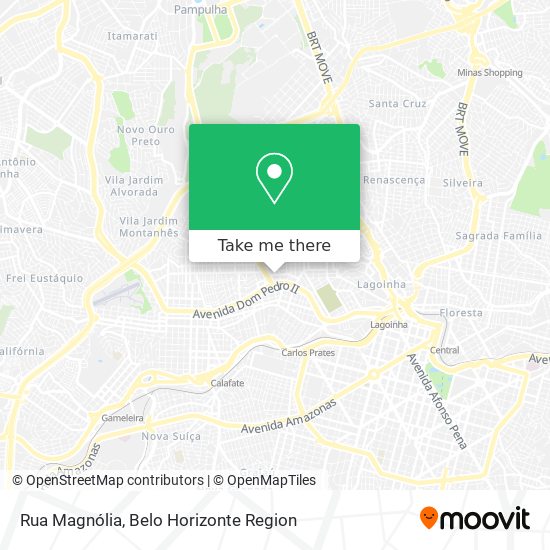 Rua Magnólia map