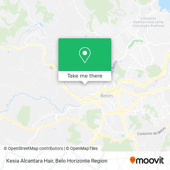Kesia Alcantara Hair map