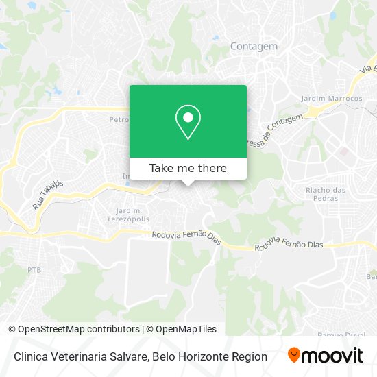 Clinica Veterinaria Salvare map