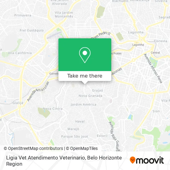 Ligia Vet Atendimento Veterinario map