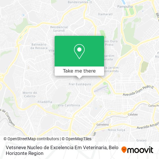 Vetsneve Nucleo de Excelencia Em Veterinaria map