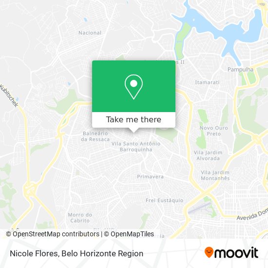 Nicole Flores map